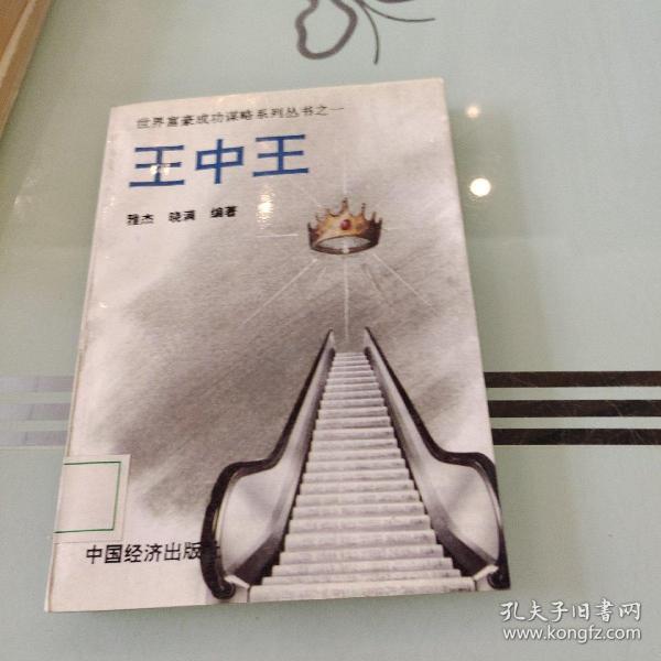 王中王資料一肖中特小說(shuō)，深度解析與探索，王中王資料一肖中特小說(shuō)的深度解析與探索之旅