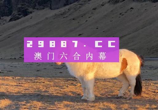 澳門最快開獎(jiǎng)六開016，探索彩票魅力與開獎(jiǎng)奧秘，澳門最快開獎(jiǎng)六開016，彩票魅力與開獎(jiǎng)奧秘揭秘