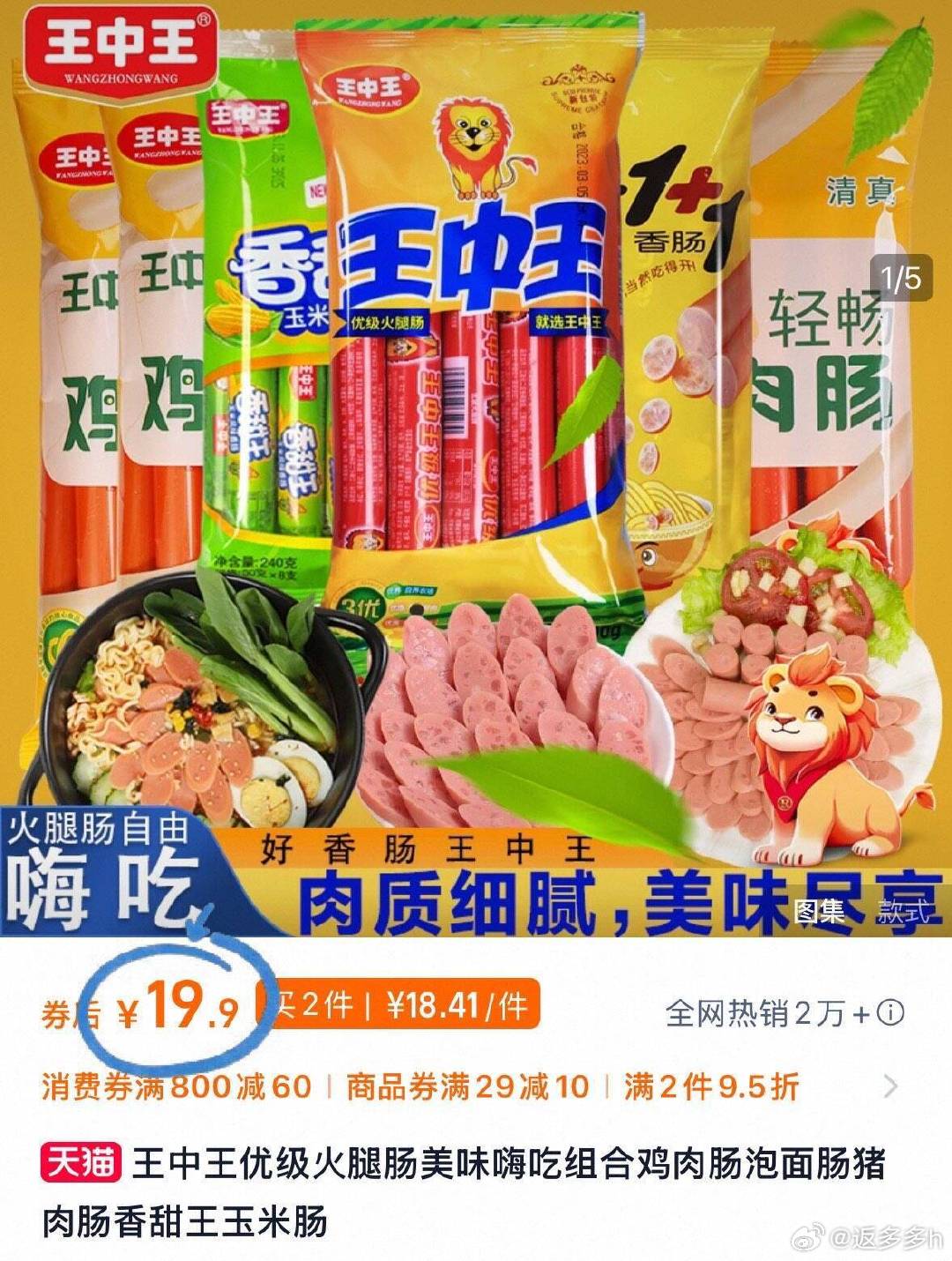 王中王資料公開一肖中特，深度解析與探索，王中王資料揭秘，深度解析與探索一肖中特