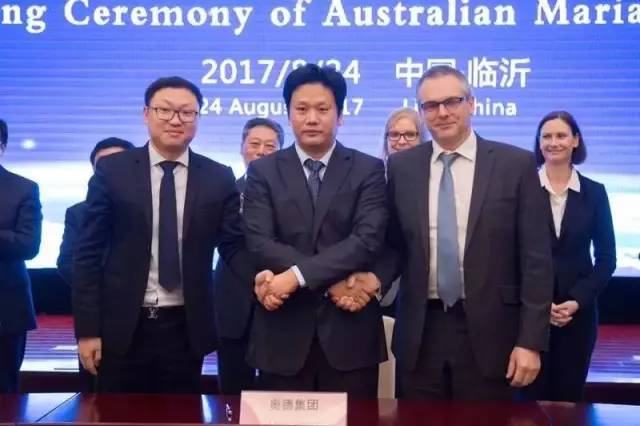 新奧彩資料揭秘，展望2025年的精彩瞬間，揭秘新奧彩資料，展望精彩瞬間到2025年