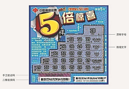 王中王彩圖平特一肖，揭秘背后的秘密與策略，揭秘王中王彩圖平特一肖背后的秘密與策略之道