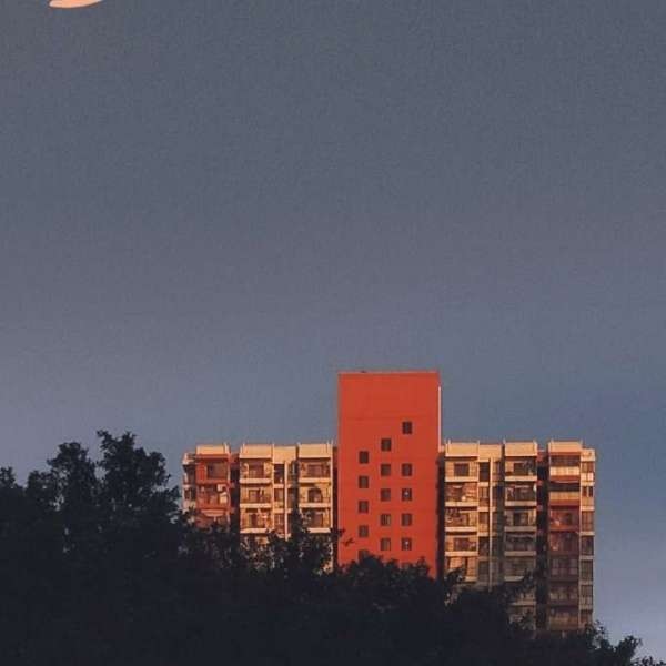 2023澳門天天開好彩大全，探索彩種的奧秘與策略，揭秘彩種奧秘，澳門天天開好彩策略指南