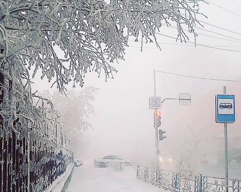 劉伯溫一碼一肖軟件下載——探索神秘預測工具的最佳途徑，劉伯溫一碼一肖軟件下載，神秘預測工具探索門戶