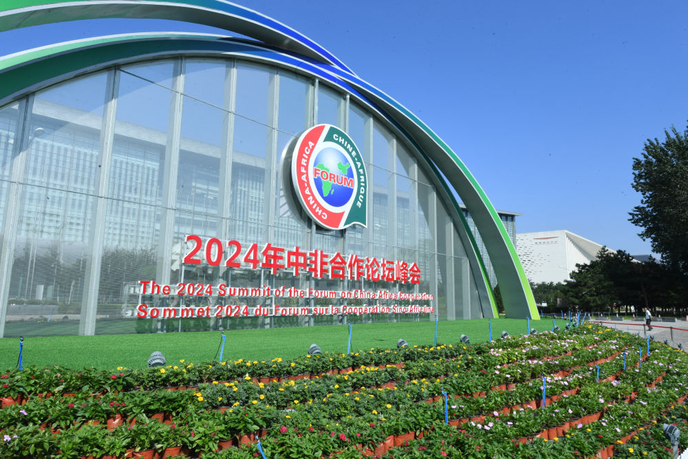 王中王一肖一特一中，揭秘免費策略背后的秘密，揭秘免費策略背后的秘密，王中王一肖一特一中的秘密解析