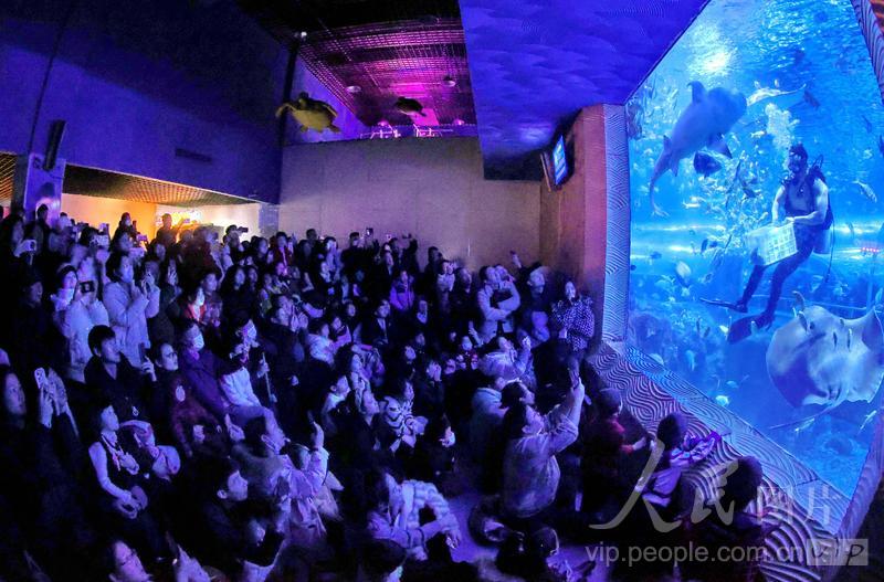 新澳2025今晚開(kāi)獎(jiǎng)結(jié)果揭曉，期待與驚喜交織的時(shí)刻，新澳2025今晚開(kāi)獎(jiǎng)結(jié)果揭曉，期待與驚喜的時(shí)刻來(lái)臨