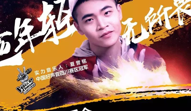 王中王一肖中恃，探尋背后的故事與奧秘，揭秘王中王一肖背后的故事與奧秘