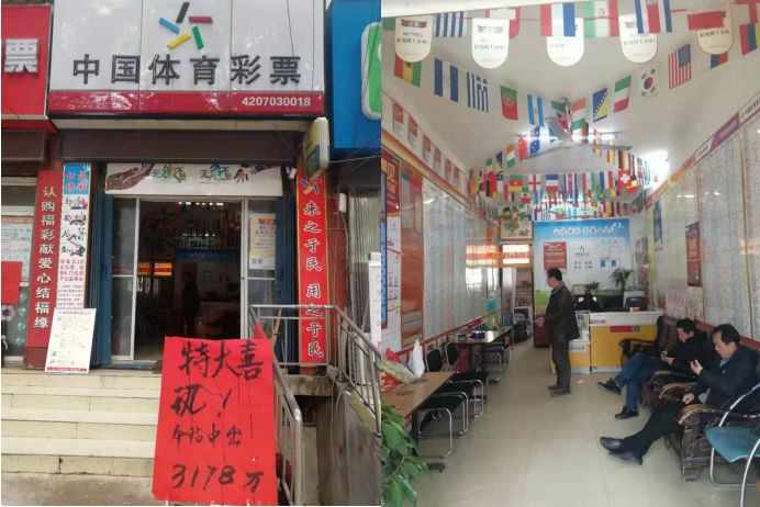 新澳門一碼一肖一特一中鳳凰體育彩票——揭秘彩票背后的秘密，揭秘新澳門一碼一肖一特一中鳳凰體育彩票背后的秘密之道