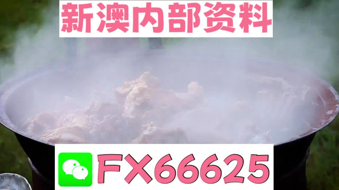 新澳全年免費(fèi)資料大全，一站式獲取所有你需要的信息，新澳全年免費(fèi)資料大全，一站式獲取所有所需信息