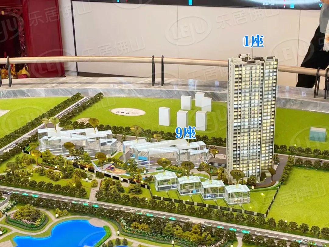 探索彩圖世界，118彩圖乘乘圖庫與九龍彩圖的魅力，彩圖世界的探索之旅，118彩圖乘乘圖庫與九龍彩圖的魅力所在