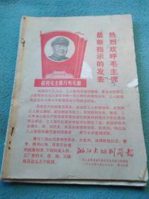 揭秘第126期王中王平特一肖，背后的故事與秘密，揭秘第126期王中王平特一肖背后的故事與神秘面紗