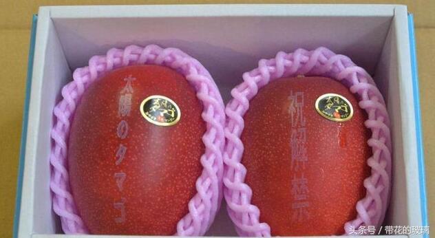 澳門水果爺爺正版，探索最正宗的水果盛宴，澳門水果爺爺正版，探索正宗水果盛宴的傳奇之旅