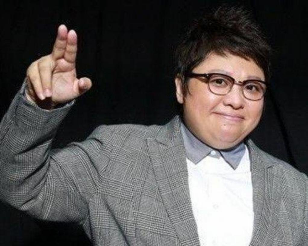 韓紅個人簡歷——音樂傳奇人生，韓紅，音樂傳奇人生之路的閃耀篇章