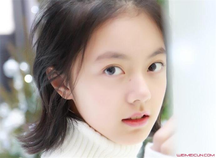 趙今買個人資料，全面揭示一位引人注目的公眾人物，趙今買個人資料大揭秘，引人注目的公眾人物全面展示