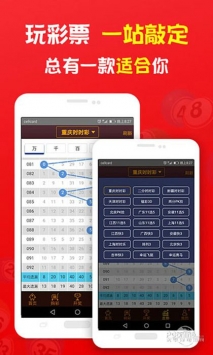 關(guān)于更新王中王一肖中的深度解析與探討，王中王一肖深度解析與探討