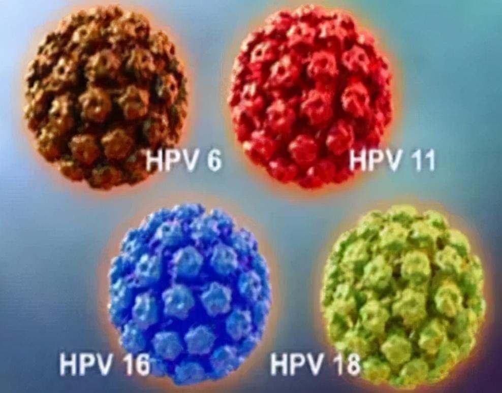 揭秘全球最大陽器擁有者，真實(shí)圖片展示與探索，全球最大陽器擁有者揭秘，真實(shí)圖片展示與深度探索