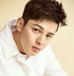 張桐個(gè)人資料簡介，張桐個(gè)人資料簡介，揭秘他的故事