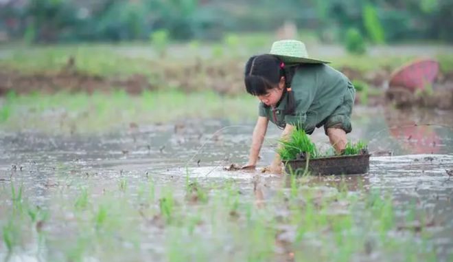 夫妻間的和諧插秧藝術(shù)，探索100種親密交流方式，夫妻間的親密交流藝術(shù)，探索和諧插秧與百種親密交流之道