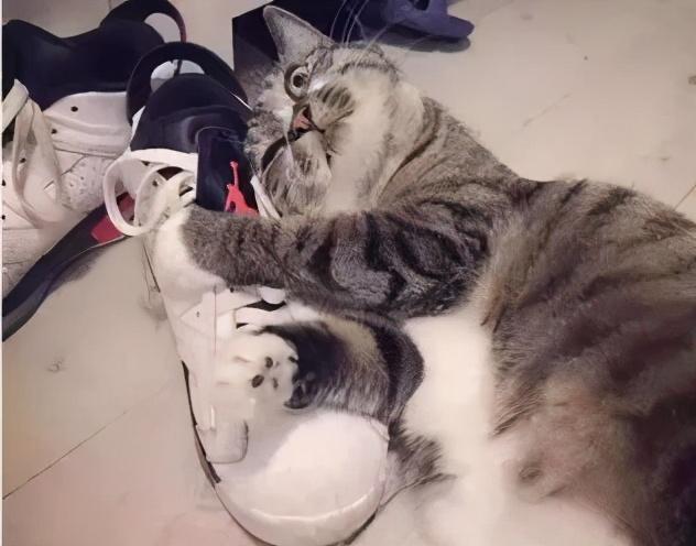 男生饞女生身子是饞哪里——深度解讀男性對女性的身體吸引之謎，深度解讀，男性對女性身體吸引的秘密——探究男生對女生身子的真實渴望與吸引點