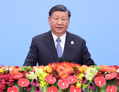 三肖王中王選一肖，揭秘生肖運(yùn)勢(shì)與個(gè)性魅力，揭秘生肖運(yùn)勢(shì)與個(gè)性魅力，三肖王中王選一肖解析