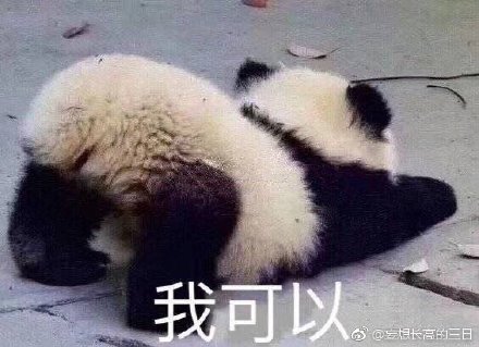 澳門精準(zhǔn)四不像最新正版，揭秘與探索，澳門精準(zhǔn)四不像揭秘與探索最新正版資訊