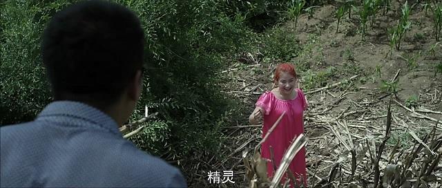 二龍湖浩哥電影全系列，深度解析與回顧，二龍湖浩哥電影系列，深度解析與回顧