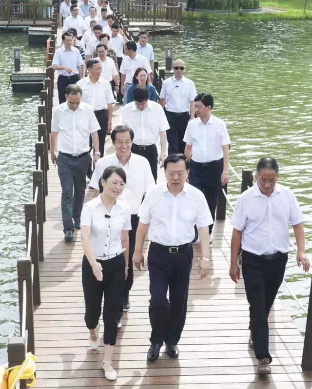 毛江村最新發(fā)展規(guī)劃SEO文章，毛江村最新發(fā)展規(guī)劃，走向繁榮的新時(shí)代SEO解讀