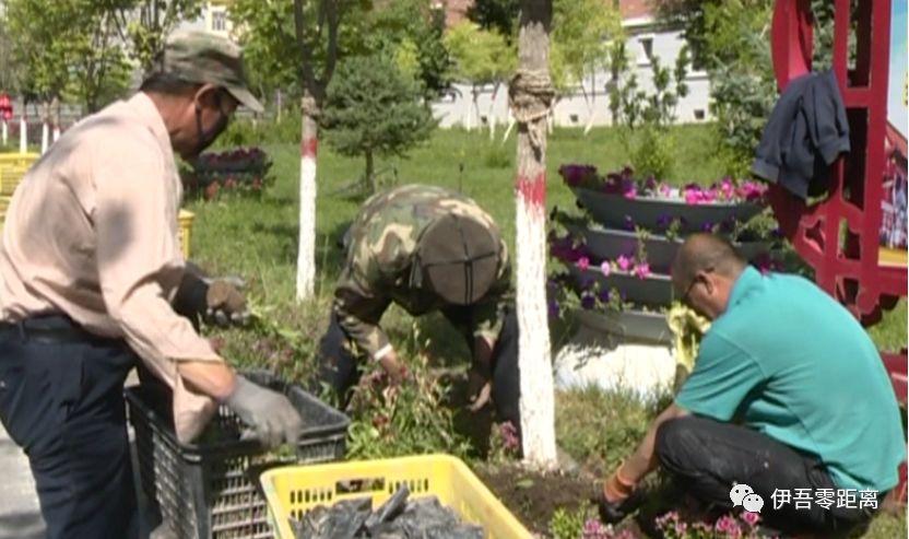 綠化村最新招聘信息及其相關(guān)內(nèi)容探討，綠化村最新招聘信息及相關(guān)內(nèi)容深度解析