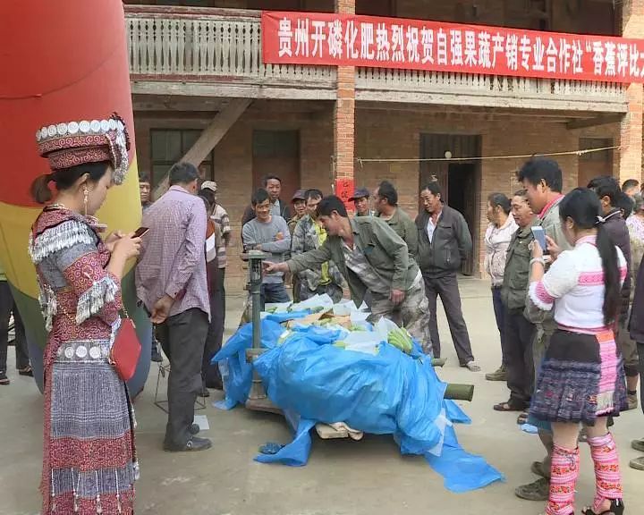 雍瓦拉阿村委會最新招聘信息概覽，雍瓦拉阿村委會最新招聘啟事概覽