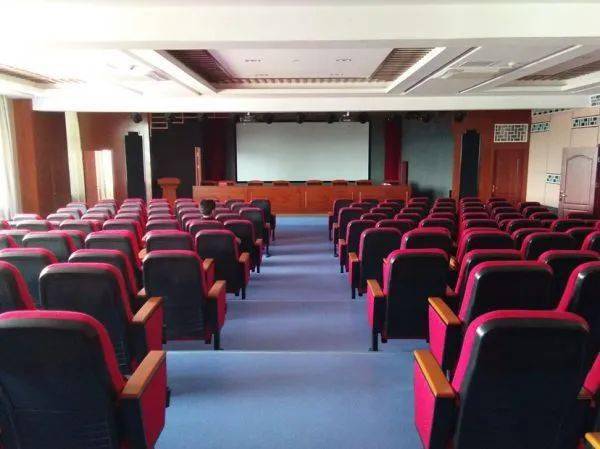 橋林鎮(zhèn)最新新聞全面報道，橋林鎮(zhèn)最新新聞全方位報道速遞