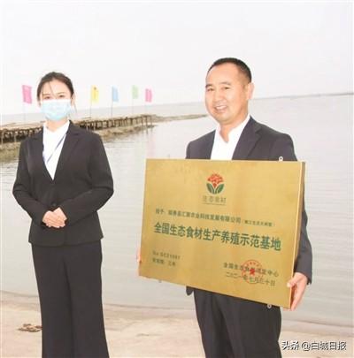 鎮(zhèn)賚縣市場監(jiān)督管理局最新發(fā)展規(guī)劃，塑造更優(yōu)質的商業(yè)環(huán)境與未來展望，鎮(zhèn)賚縣市場監(jiān)督管理局發(fā)展規(guī)劃，塑造優(yōu)質商業(yè)環(huán)境，展望美好未來