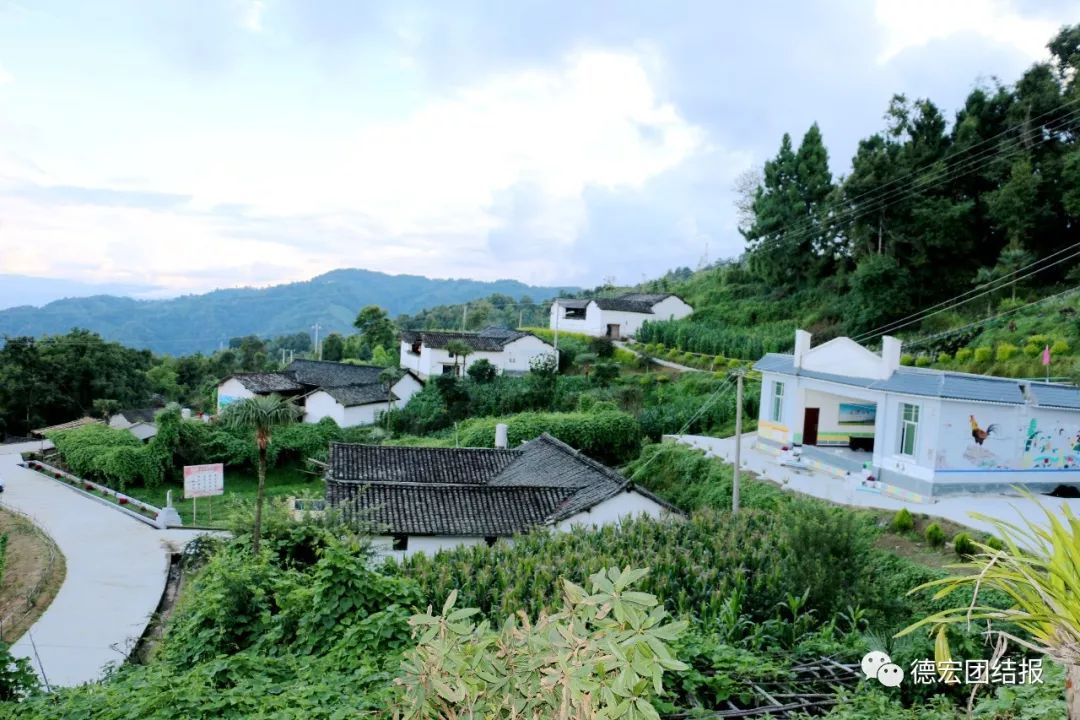 油松嶺鄉(xiāng)最新新聞探索與發(fā)現(xiàn)，油松嶺鄉(xiāng)最新探索與發(fā)現(xiàn)新聞速遞