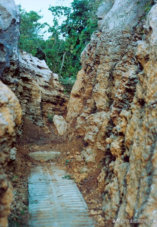 山林村民委員會最新領(lǐng)導(dǎo)團隊介紹，山林村民委員會領(lǐng)導(dǎo)團隊介紹
