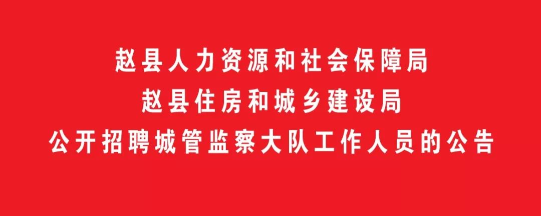 趙縣數(shù)據(jù)和政務(wù)服務(wù)局最新招聘信息詳解，趙縣數(shù)據(jù)和政務(wù)服務(wù)局最新招聘信息全面解析