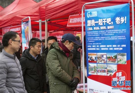 秭歸縣醫(yī)療保障局最新招聘信息詳解，秭歸縣醫(yī)療保障局最新招聘詳解