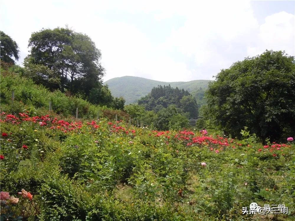 梅列區(qū)住房和城鄉(xiāng)建設局最新發(fā)展規(guī)劃，塑造宜居城市，推動可持續(xù)發(fā)展，梅列區(qū)住房和城鄉(xiāng)建設局發(fā)展規(guī)劃，塑造宜居城市，推動可持續(xù)發(fā)展