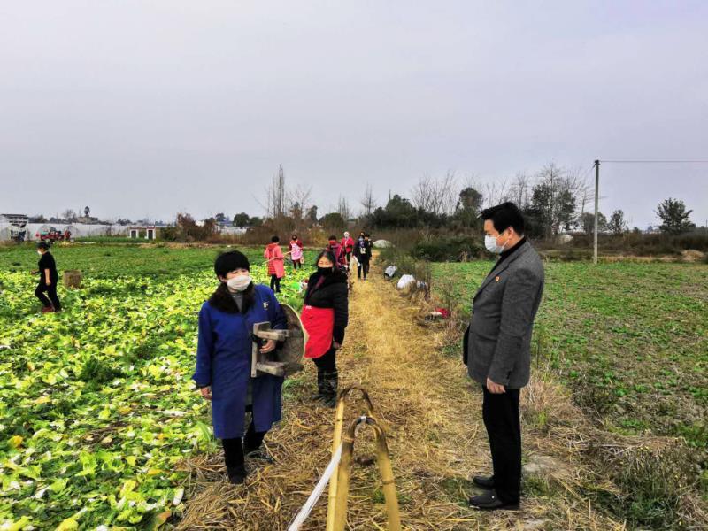 彭州市農(nóng)業(yè)農(nóng)村局最新新聞，彭州市農(nóng)業(yè)農(nóng)村局最新動(dòng)態(tài)報(bào)道