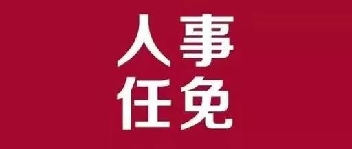 大港區(qū)審計局最新人事任命及其深遠(yuǎn)影響，大港區(qū)審計局人事任命揭曉，新任領(lǐng)導(dǎo)將帶來深遠(yuǎn)變革