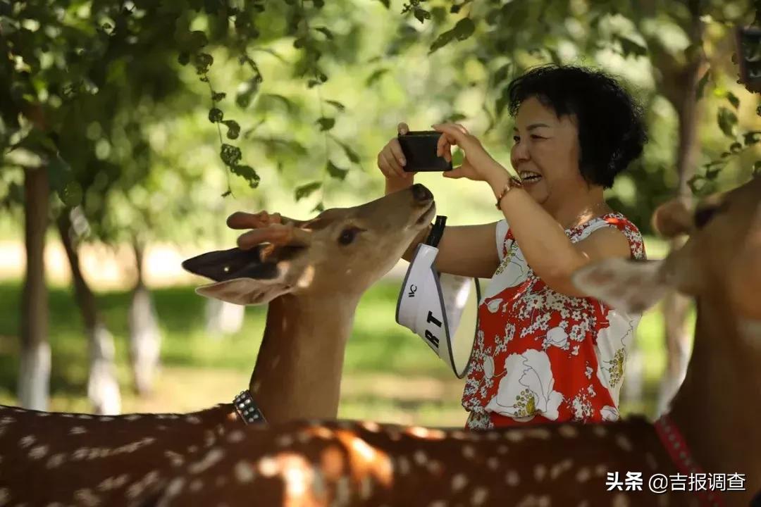 東豐縣市場監(jiān)督管理局最新新聞，強(qiáng)化監(jiān)管，優(yōu)化服務(wù)，推動市場繁榮有序發(fā)展，東豐縣市場監(jiān)管局強(qiáng)化監(jiān)管，優(yōu)化服務(wù)，助力市場繁榮有序發(fā)展最新消息報(bào)道