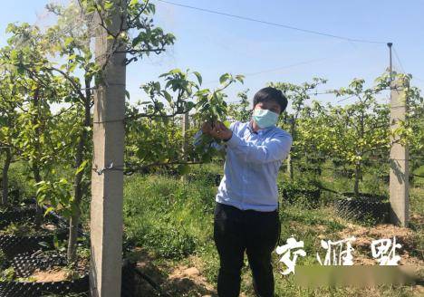 果龍村最新新聞報(bào)道，果龍村最新新聞報(bào)道概覽