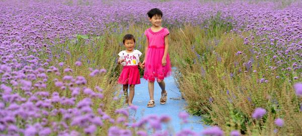 景和鎮(zhèn)最新發(fā)展規(guī)劃，塑造未來(lái)繁榮藍(lán)圖，景和鎮(zhèn)未來(lái)繁榮藍(lán)圖，最新發(fā)展規(guī)劃揭秘