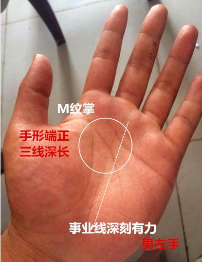 高樓掌村委會最新交通新聞，打造便捷出行環(huán)境，提升居民生活質(zhì)量，高樓掌村委會交通新聞，打造便捷出行環(huán)境，提升居民生活質(zhì)量