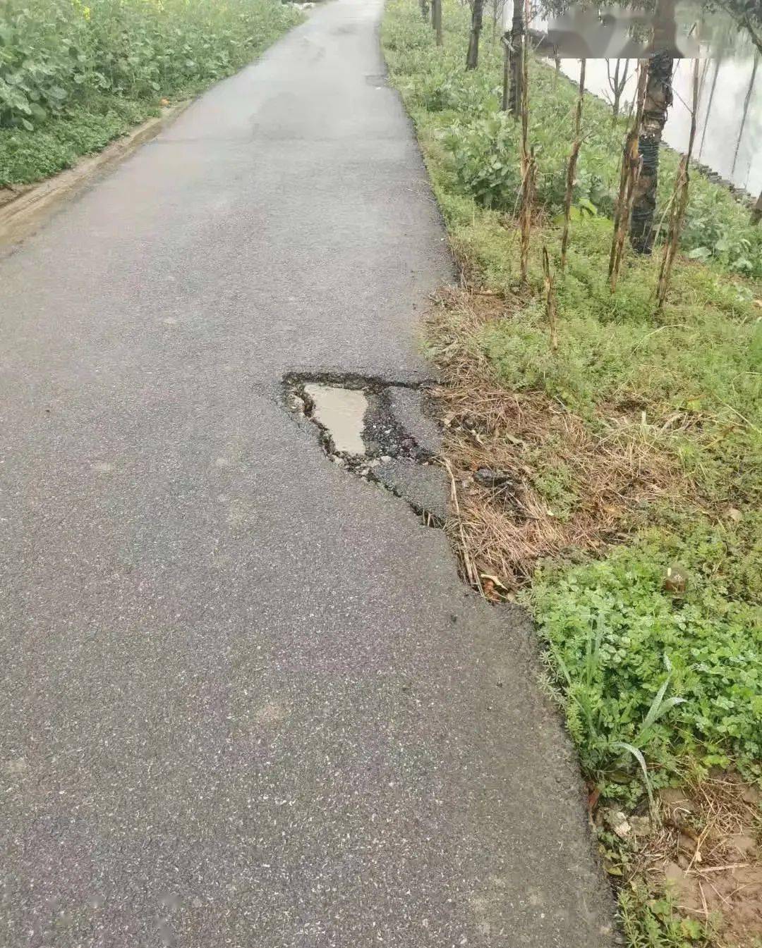 色務(wù)機(jī)該村最新發(fā)展規(guī)劃SEO文章，色務(wù)機(jī)村最新發(fā)展規(guī)劃SEO文章概覽