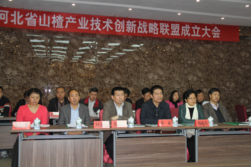 興隆縣科技局等最新新聞，科技創(chuàng)新助力縣域經(jīng)濟(jì)騰飛，興隆縣科技局最新動(dòng)態(tài)，科技創(chuàng)新推動(dòng)縣域經(jīng)濟(jì)騰飛