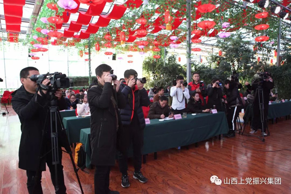 富縣文化局最新新聞深度解析，富縣文化局最新新聞深度解讀