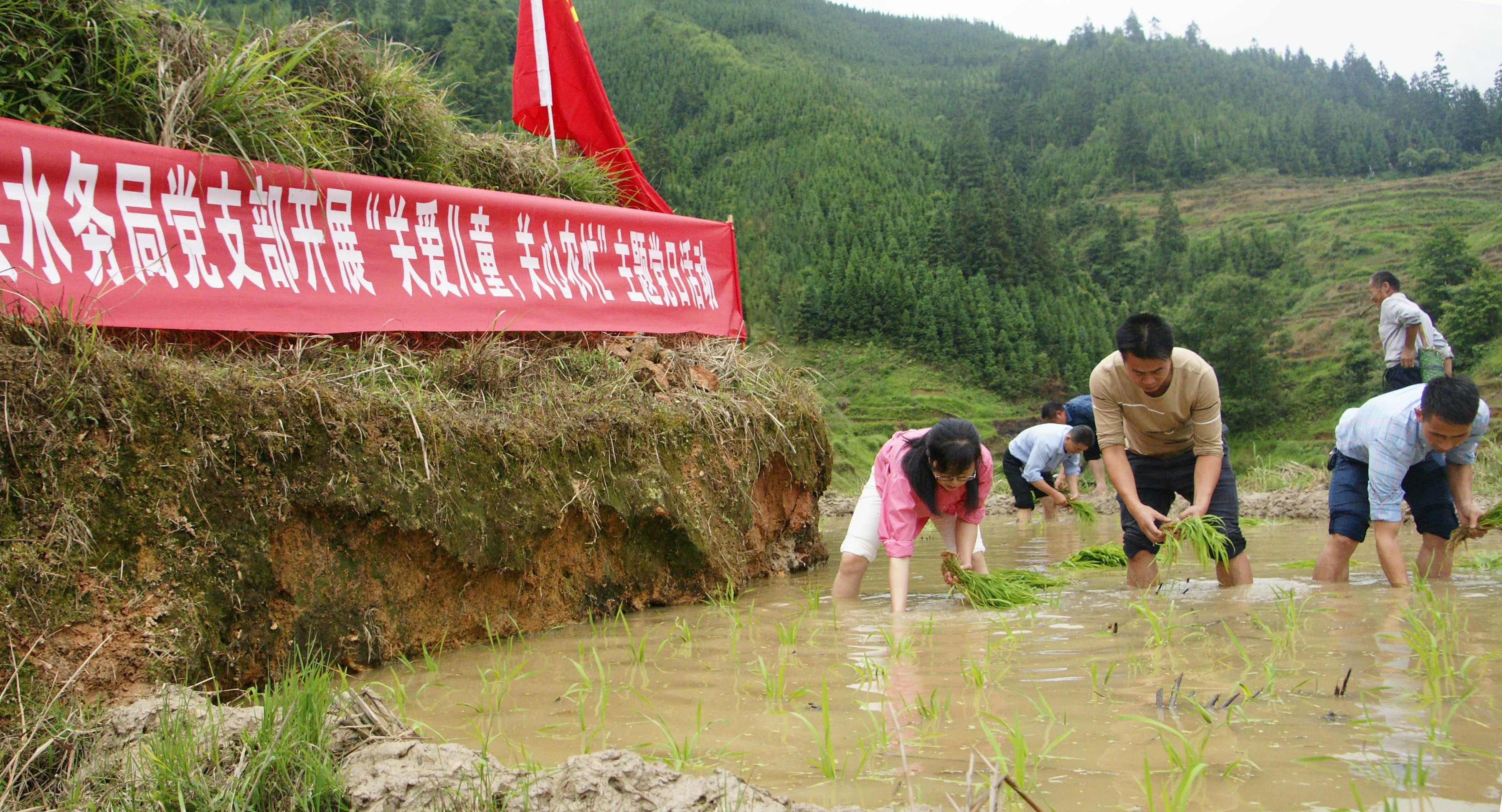 從江縣交通運(yùn)輸局最新發(fā)展規(guī)劃，從江縣交通運(yùn)輸局最新發(fā)展規(guī)劃概覽