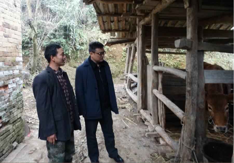 土坪村委會(huì)最新領(lǐng)導(dǎo)團(tuán)隊(duì)介紹，土坪村委會(huì)領(lǐng)導(dǎo)團(tuán)隊(duì)介紹