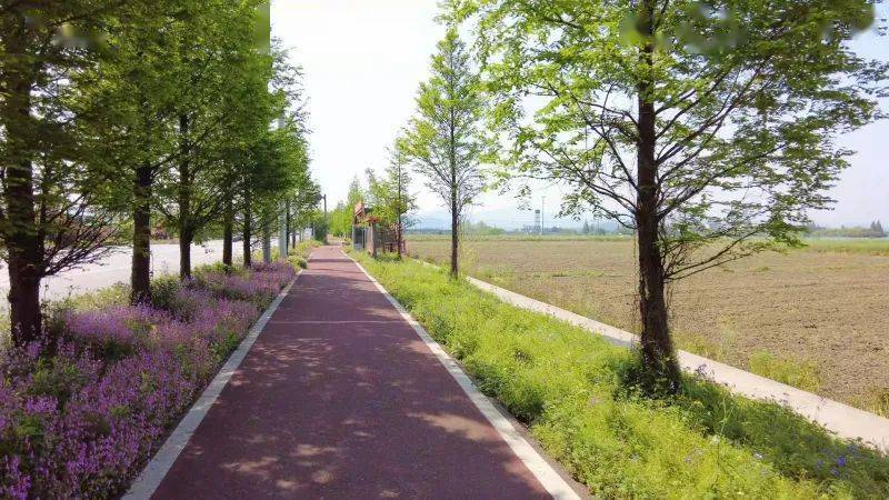 自流井區(qū)數(shù)據(jù)和政務服務局最新發(fā)展規(guī)劃，探索未來，引領數(shù)字化轉(zhuǎn)型，自流井區(qū)數(shù)據(jù)和政務服務局發(fā)展規(guī)劃，引領數(shù)字化轉(zhuǎn)型探索之旅