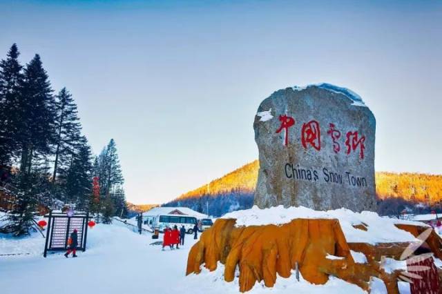 東蘇林場(chǎng)最新交通新聞，交通動(dòng)態(tài)與未來發(fā)展展望，東蘇林場(chǎng)交通最新動(dòng)態(tài)與未來發(fā)展展望