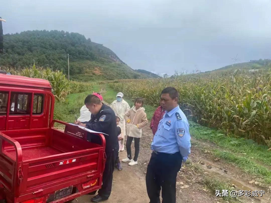 新升村最新招聘信息全面更新，求職者的福音來了！，新升村招聘信息全面更新，求職福音降臨！