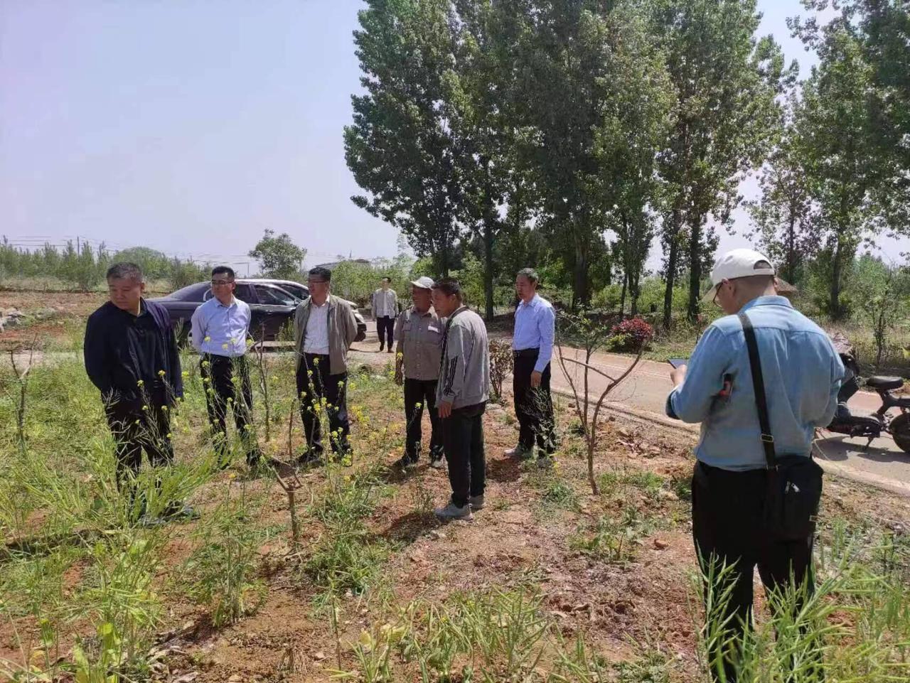 鄒塢鎮(zhèn)最新新聞探索與發(fā)現(xiàn)，鄒塢鎮(zhèn)最新探索與發(fā)現(xiàn)新聞